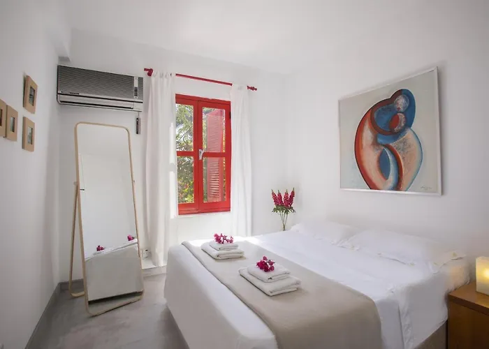 Liora 普罗塔拉斯